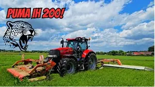 Puma 200 IH Case mit Kuhn Schmetterling GMD 9530 & vorne GMD 802 F beim Grünschnitt mähen 2024!