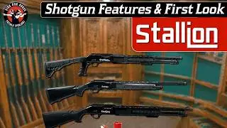 Stallion Shotguns Variety | Features & First Look | Virk Gun House India