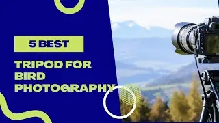 Top 5 Best tripod for bird photography 2022