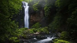 🌲 Forest & Nature Walk 🌊 Waterfall Sounds🍃| ASMR | Cənnəti Tapdım:Astara Sım Kəndində Meşə Gəzintisi