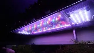 LED arrangement with new Red and Green LED's