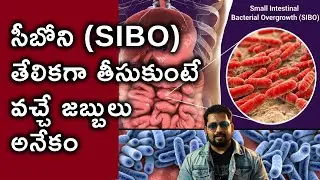 SIBO సీబోని తేలికగా తీసుకుంటే వచ్చే జబ్బులు అనేకం | Do Not Ignore SIBO | Dr Ravi Vide