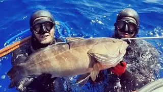 Deep Spearfishing Northcyprus  White Grouper