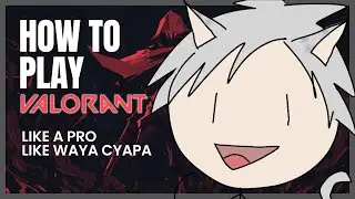【VALORANT】Pushrenk