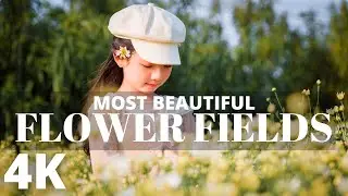 MOST BEAUTIFUL FLOWER FIELDS AND VALLEY IN THE WORLD [4K]