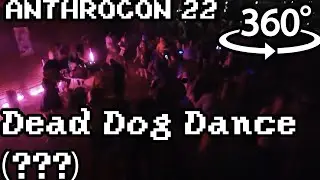 [4k 360] Anthrocon 2022 | The Real 