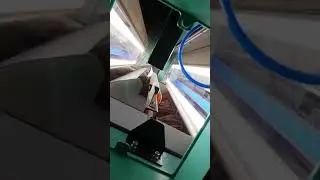 Sortowanie Fasoli metoda optyczną- kryszyn 2019