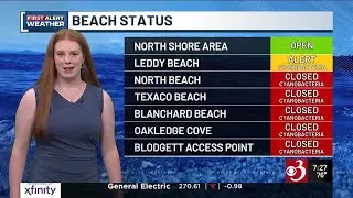 Beach closures due to cyanobacteria