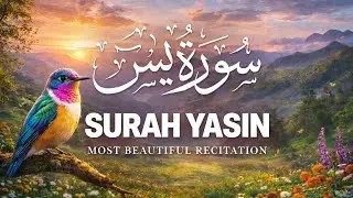 سوره یاسین | سورة يس | Surah Ya-Sin – Peaceful & Heart-Touching Recitation Before Sleep
