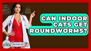 Can Indoor Cats Get Roundworms? - Ask A Pet Vet