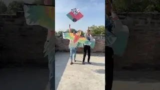 Patang kat gai 🪁 #shorts #ytshorts #viralvideos #patang