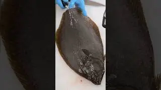 Fish Cutting Technique #shortvideo