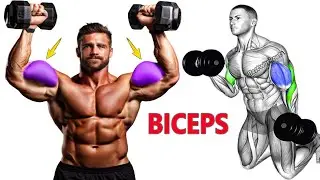 Fast Track to Popeye Arms : 5 Brutal Bicep Exercises