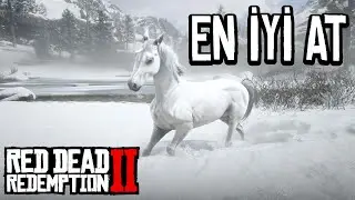 RDR2`NİN EN İYİ ATI BEYAZ ARAP ATI | RED DEAD REDEMPTION 2 TÜRKÇE