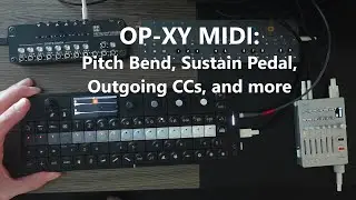 OP-XY MIDI: What I've Learned So Far