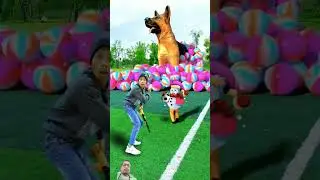 vfx video @_Shp_gopal #balloon #dog #shpgopal #shorts