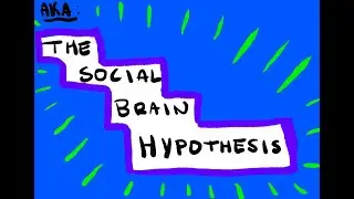 Introduction to the Social Brain