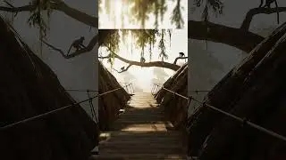 The Canopy - Unreal Hotels
