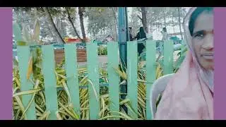 ആലപ്പുഴ ബീച്ചിൽ വീണ്ടും 
