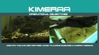 Kimeraa Project