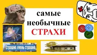 Самые необычные страхи и фобии 