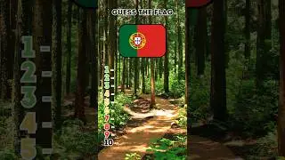 Guess the flag 11 #triviakings #guesstheflag #quiz