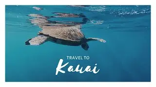 Kauai, Hawaii 2019 (TRAVEL VIDEO) | Jacqui M. Green