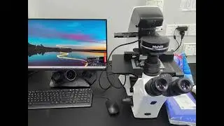 MSHOT  new inverted fluorescence microscope MIX60-FL used for cell culture observation
