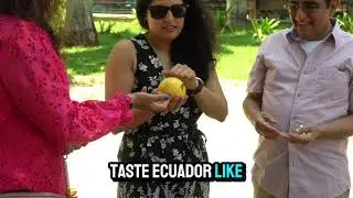 Quito Market Tour | Ecuador&rsquo;s Tropical & Exotic Fruit Tasting