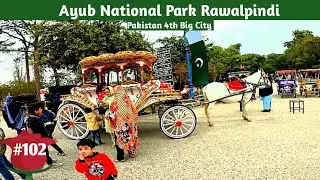 Walking In Ayub National Park Rawalpindi #EasyWalks