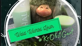 SUCHTGEFAHR!!! Wald Wichtel Likör (Waldmeister) schnell, lecker & einfach