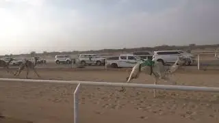 ش5 بكار مفاريد 1447/07/28هـ - 2026/01/17م (سمحه) فهد نايف مشخص القرشي