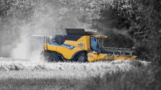 Travaux agricoles de l'année 2024