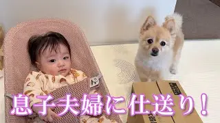 【仕送り開封】ポメくんと息子夫婦に仕送りを送りました！