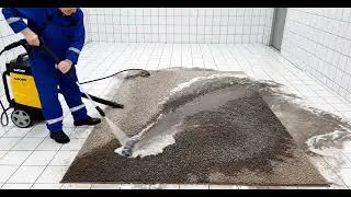 Ultimate Rug Cleaning ASMR 🤤 Tiger & Mountain Rug Reveal! 🏔️ #satisfying 