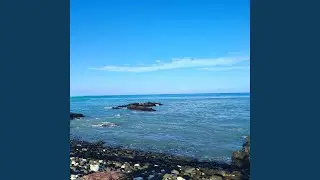 Tasty waves and a cool buzz