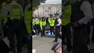 This evening Protesters arrested at the scene. #PoliceAction #Protest #subscribe #shorts #london