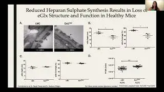 OC3: Endothelial Glycocalyx Heparan Sulphate plays role in glomerular filtration barrier function