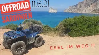 Esel im Weg - Offroad Quadfahren Sardinien Yamaha Grizzly 700 SE - 11.6.21 - Buggeru, Cala Gonone...