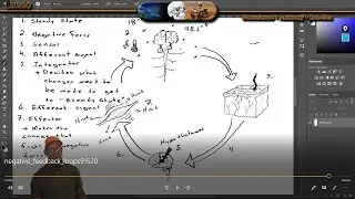 Feedback Loops