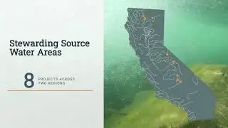 California Trout - Creating a Better California