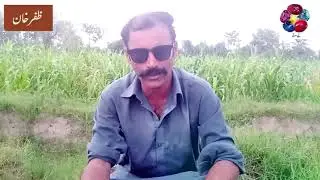 Dhoray Abrar super hit videos /awaz :Hassan parwana UPLOAD VIDEO 2020
