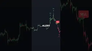 Best Trading Tips 2024 #shorts #trader #trading #tradingtips  #tradingview #tradingstrategies