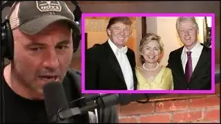 Joe Rogan - If Hillary Was Scrutinized Like Trump