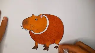 Drawing Burbaloni Luliloni Anomali Capybara