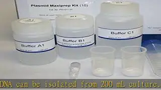 Plasmid maxiprep kit (50 Preps)