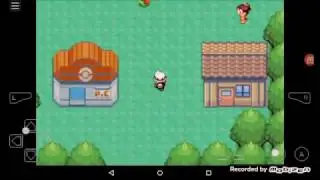 My boy eternal snow/emerald cheats (Rare Candies,Master Ball,and Walk Through Walls)