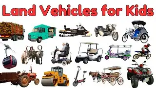 Land Transport Vehicles for Kids | Transport Vocabulary for Preschoolers | Vehicle Vocabulary #kids