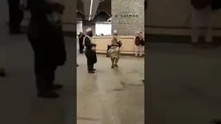 Pakistani Funny Uncle Pelting at Jamarat - KSA Funny Video Hajj Pilgrims #hajj #jamarat #2024 #ksa