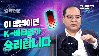 이 방법이면 K-배터리가 승리합니다 (김연규 교수 3편)